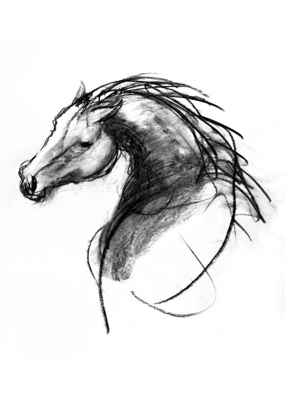 Image of The Stallion Hears by Diana Hand